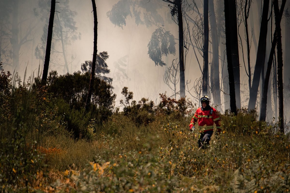 Esto es lo que está prohibido hacer en los montes de Andalucía hasta el 15 de octubre: el BOJA lo deja claro
